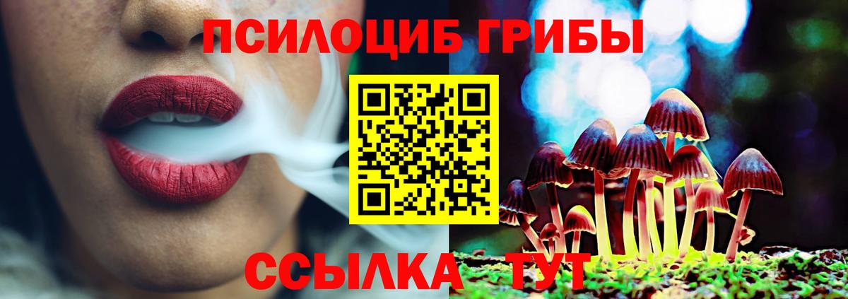 Псилоцибиновые грибы Psilocybe Дзержинск